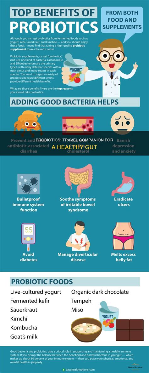 Probiotics: Travel Companion For A Healthy Gut | QuartzMountain