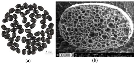Comparison of Mechanical Properties of Steam-Free and Steam-Based ...