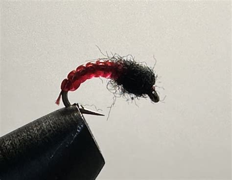 Annelid Red Scud Silver Hook – Rocky Mountain Fly and Feather