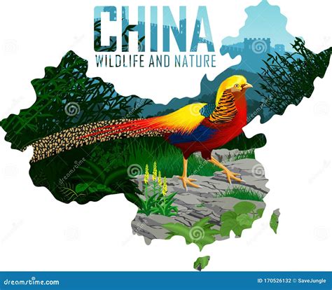 中国 Map Cartoon 的图像结果