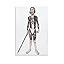 Image result for Personal Classification Examples