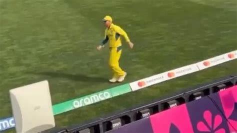 ODI WC 2023: David Warner performs iconic dance step from ‘Pushpa ...
