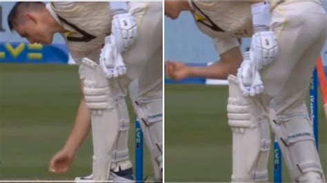Watch: Marnus Labuschagne Picks Up Chewing Gum From Ground And Puts ...