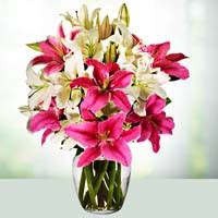 Online Flowers Delivery in kolkata | Send Flowers to kolkata | Phoolwala