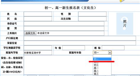 小升初报名表格模板,小升初表格模板,小升初报名表模板(第14页)_大山谷图库