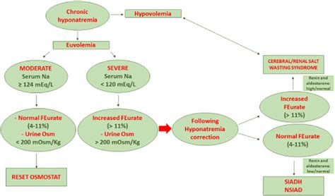 Hyponatremia Algorithm 的图像结果