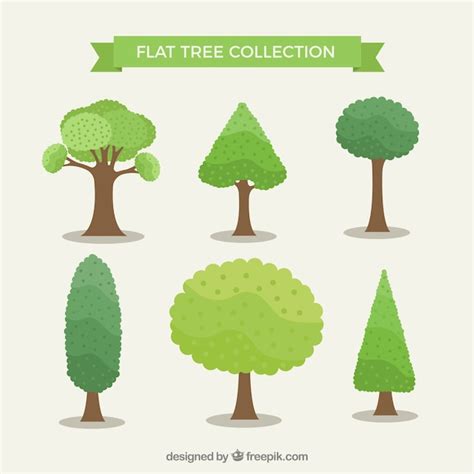 Raccolta di alberi con diverse specie | Vettore Gratis