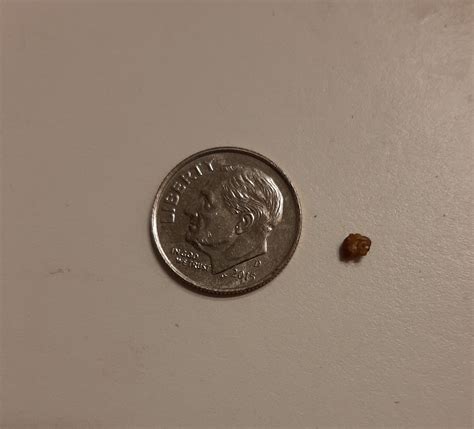 3mm Kidney Stone 100pcs S925 Sterling Silver Bracelets Round Beads