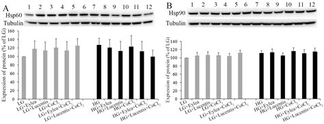 Effects of Ranibizumab and Aflibercept on Human Müller Cells and ...