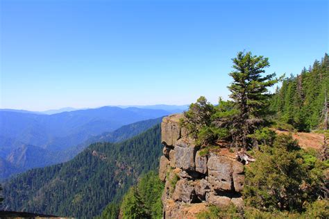 36 great photos of Juniper Dunes Wilderness in Washington | BOOMSbeat