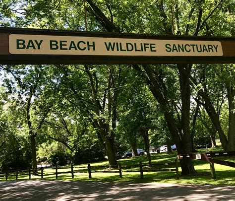 Wisconsin For Kids: Bay Beach Wildlife Sanctuary