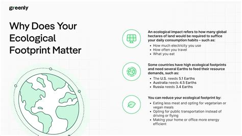Your Ecological Footprint: How to Calculate It & Why It Matters
