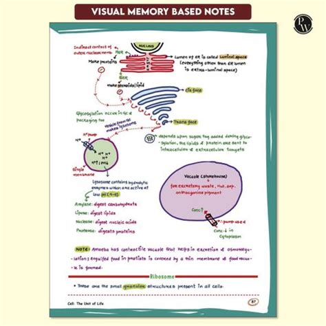 PW Med Easy Zoology 2.0 & Botany Handwritten Notes Combo For NEET and ...