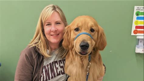 Taste of Minnesota to return with Ludacris, Joan Jett and the ...