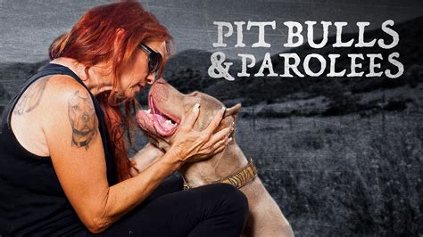Pit Bulls & Parolees - Watch Series Online