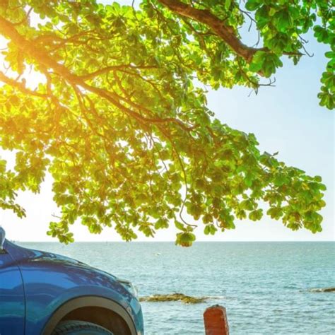 Love & Protect the Indiana Dunes | Indiana Dunes