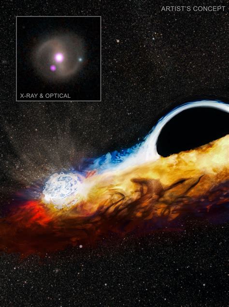 Black Hole Destroys Star, Goes After Another, NASA Missions Find ...