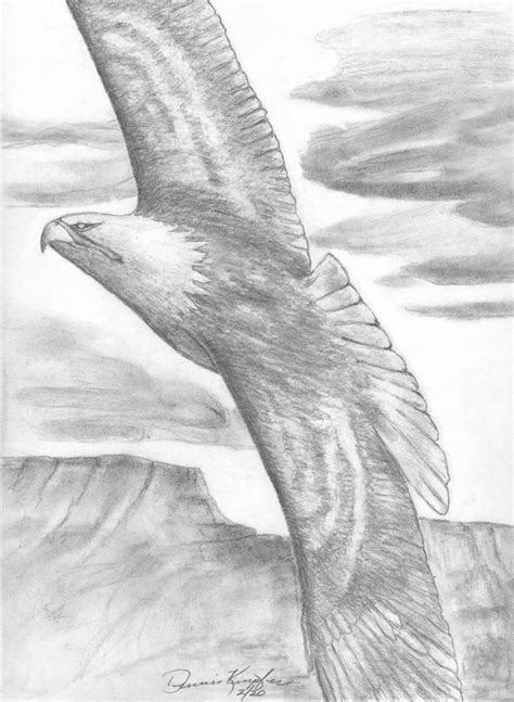 Bald Eagle Soaring Drawing by Dennis Knipfer - Fine Art America