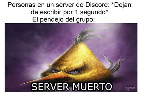 Pin de Eliugu en Mis Pines guardados | Imágenes aleatorias, Memes ...