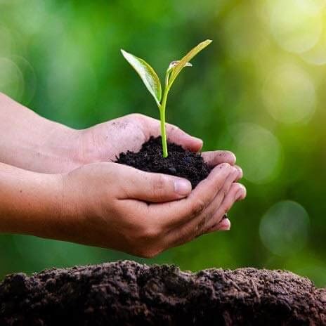 Vermicompost Khad Use for Indoor & Outdoor Plants – Radhakrishnaagriculture