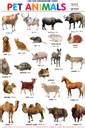 Both Side Printed Pet and Wild Animals Charts for Kids | Learn about ...