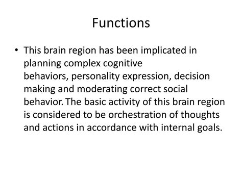 Image result for Prefrontal Cortex Functions