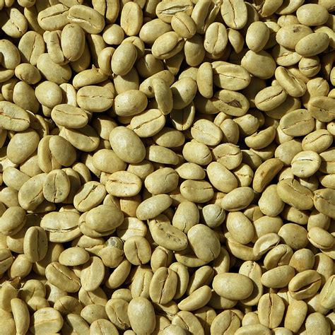 Unroasted, organic green coffee beans - Mexican Chiapas