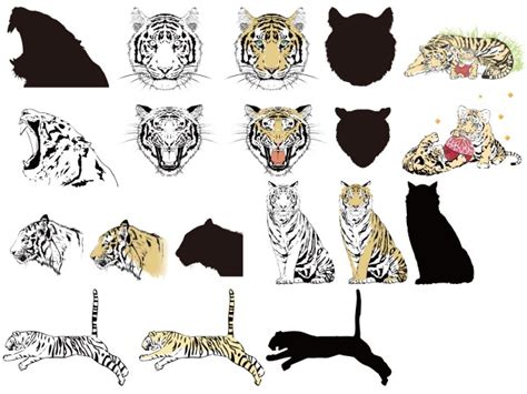 Image result for Custom CSS File