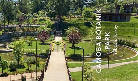 UZER OTEL (Trabzon) - Hotel Reviews, Photos, Rate Comparison - Tripadvisor