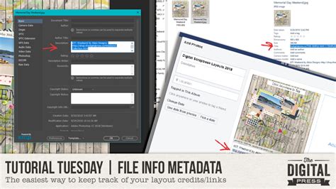 Metadata Simple Example 的图像结果
