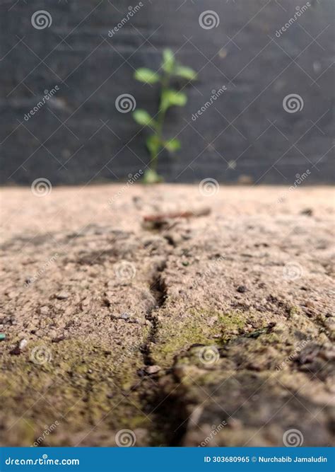 Cracks in concrete floors stock image. Image of close - 303680965