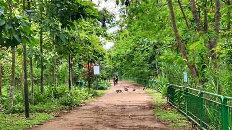 Coney Island For First-Time Visitors: A Serene Nature Escape In Singapore