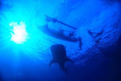 Pessoa em um barco com outra pessoa praticando snorkel ao lado do barco