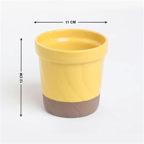 Buy Colour Refresh Ceramic Planter from Home Centre at just INR 249.0