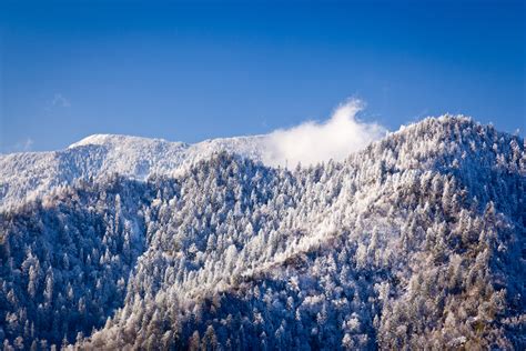 Is Mt LeConte Weather Seasonal? | gsmnp