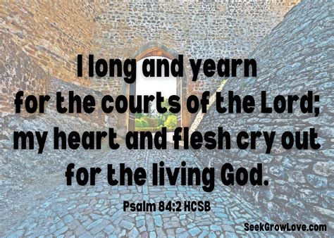 Your Longing – Seek Grow Love