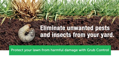 Nutri-Lawn | Grub Control