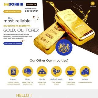 DIGIXCHAIN (@digixchain_com) - Telegram Group - English ( India )