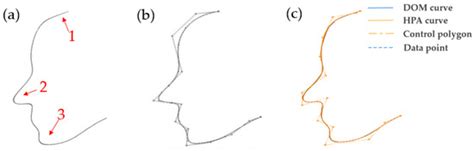 B-Spline Curve Fitting of Hungry Predation Optimization on Ship Line Design