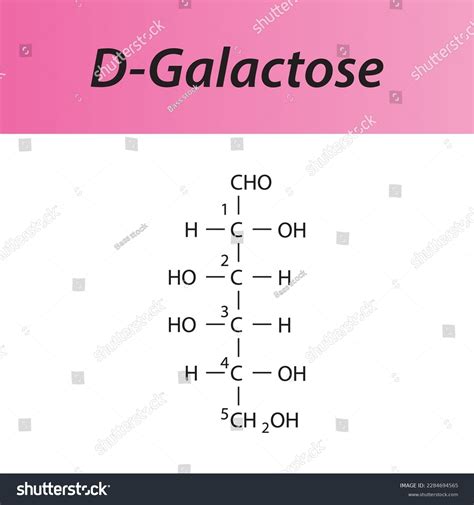 Galactose Structure Poster 2D Vector Set, The Molecular Structure Of