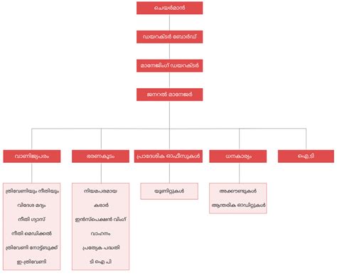 Organization Structure – Consumerfed