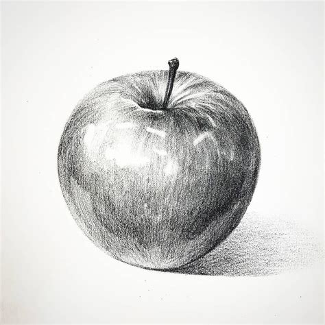 Pencil Drawing Apple Images - pencildrawing2019