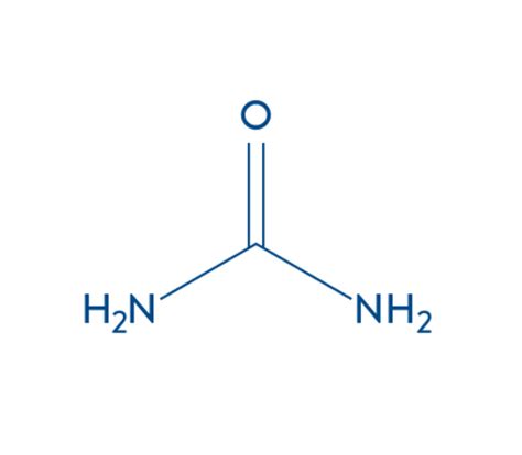 Urea Cream: How Urea Cream Can Benefit Your Skin | Cetaphil