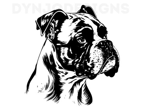 Buy Boxer Svg Boxer Clipart Boxer Png Boxer Head Boxer Cut Online in ...