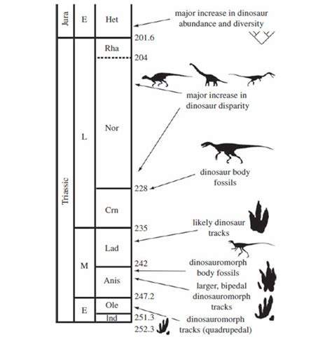 Dinosaur Evolution 的图像结果