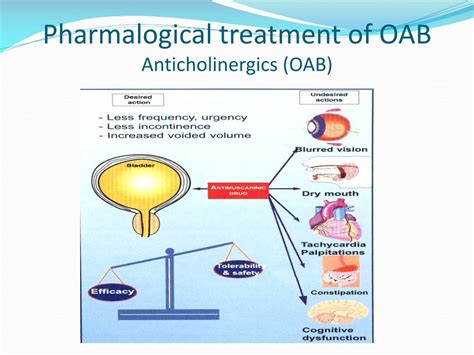 PPT - Optimizing Overactive Bladder Management: A Comprehensive Guide PowerPoint Presentation ...