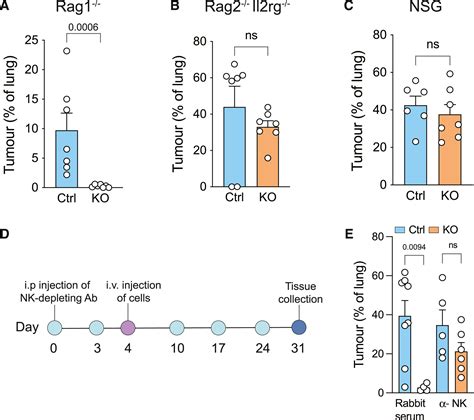 Palmitoyl transferase ZDHHC20 promotes pancreatic cancer metastasis: Cell Reports