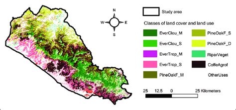 Local Scale Map 的图像结果