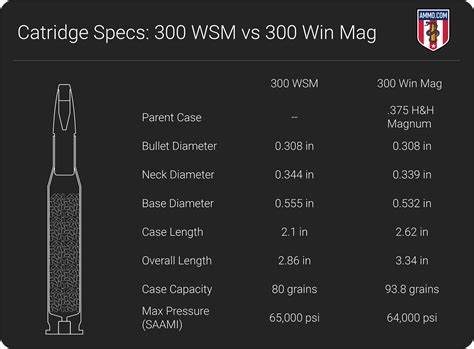 300 WSM vs 300 Win Mag: The 30-Caliber Magnum Clash | Tea Party | Before It's News