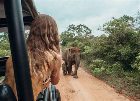 Sri lanka Language guide